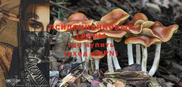 прущая мука Весьегонск