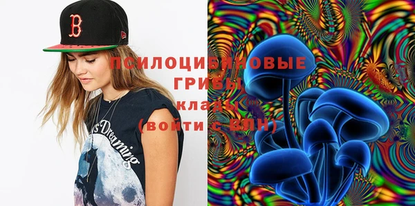 синтетический гашиш Новозыбков